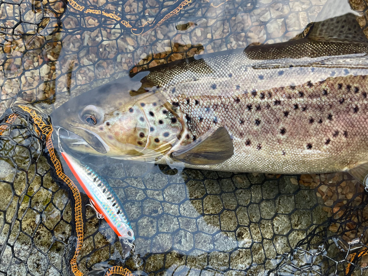 Trout Seeker Vector 95S