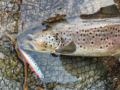 Trout Seeker Vector 95S